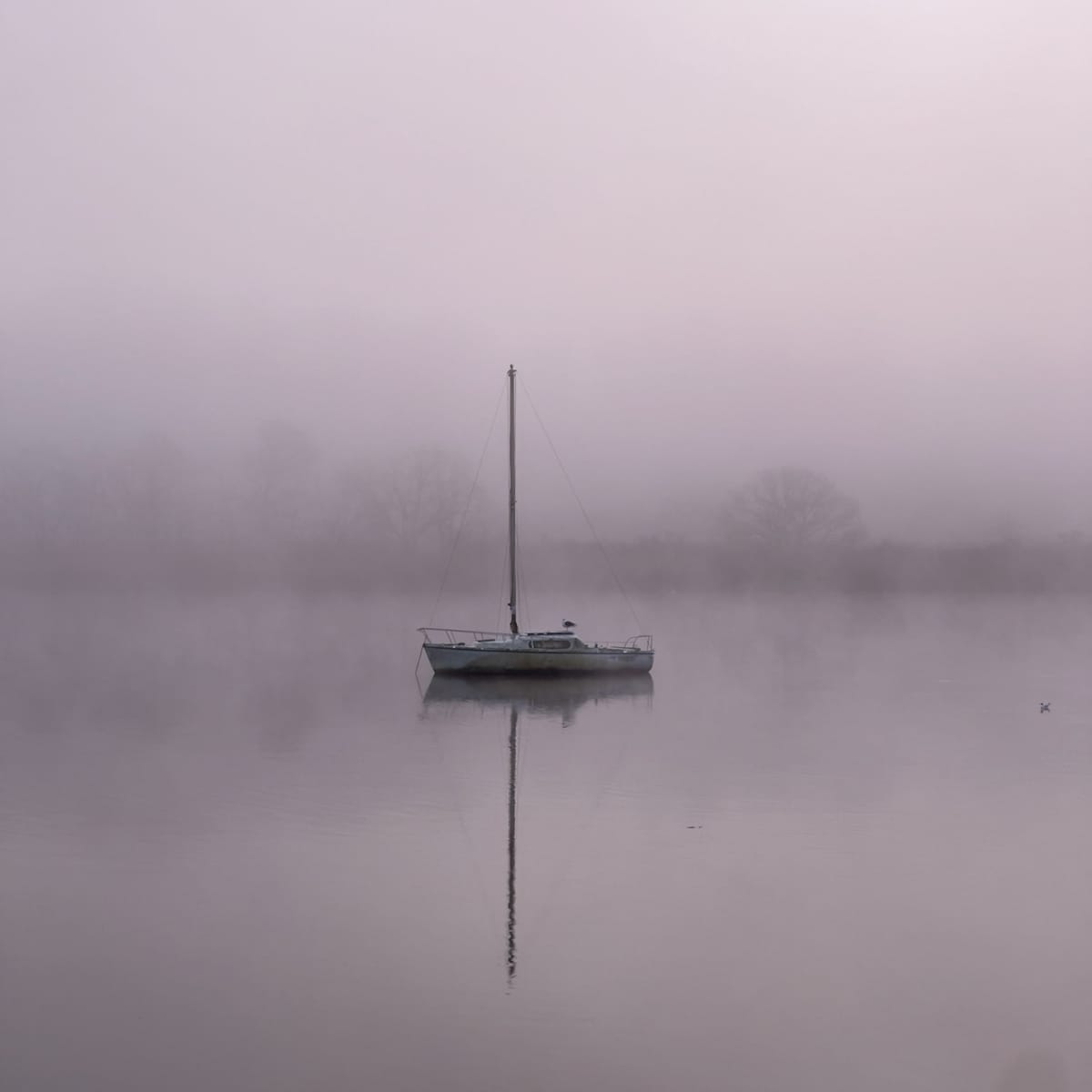 le chemin de halage le long de l'Odet à Quimper, Finistère