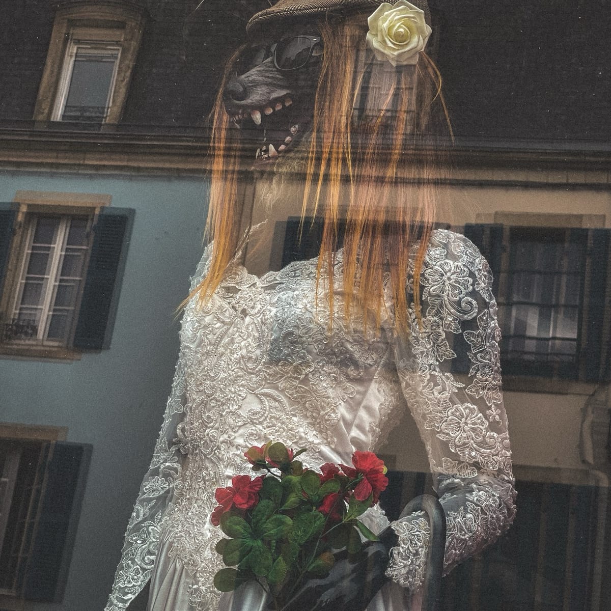 Vitrine rue Aristide-Briand à Quimper montrant une robe blanche avec une tête de loup, en reflet sur la rue.